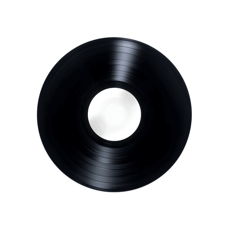 Vinyl record